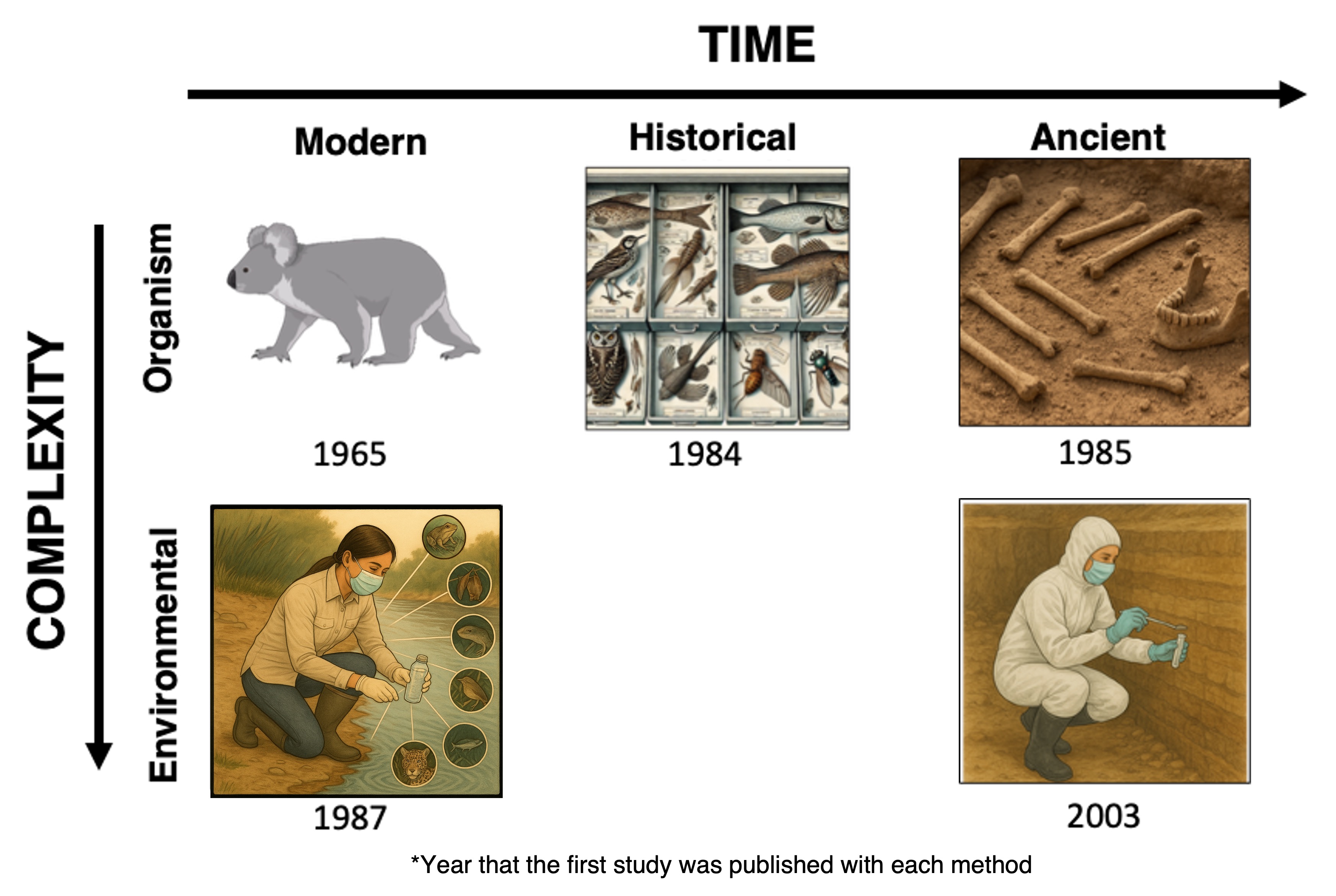 5 Introduction To Environmental DNA Introduction To Ancient Metagenomics 5 Introduction To Environmental DNA Introduction To Ancient Metagenomics